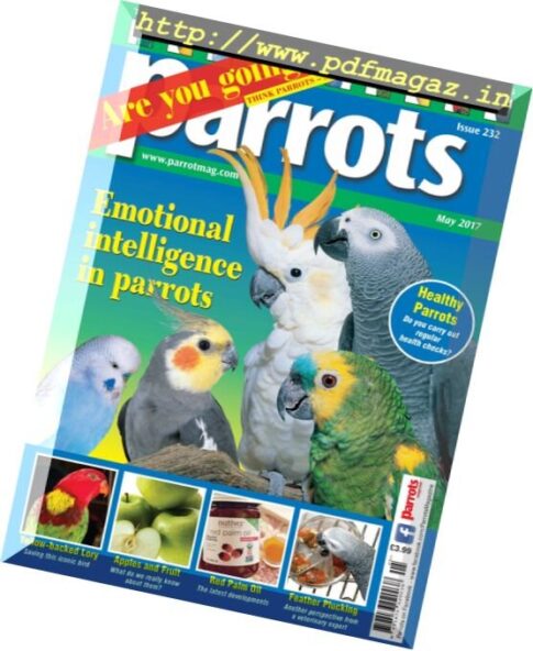 Parrots – May 2017