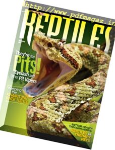 Reptiles — May-June 2017