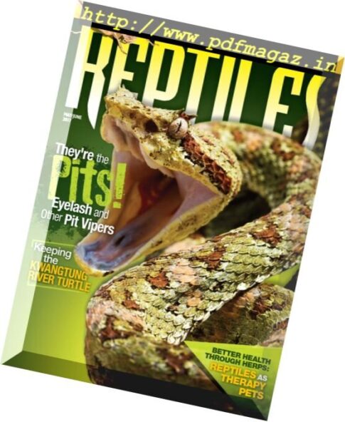Reptiles – May-June 2017