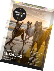 Urban Pets — Issue 12, 2017