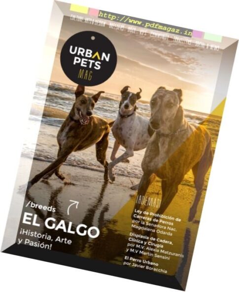 Urban Pets – Issue 12, 2017