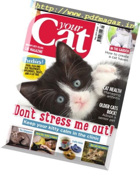Your Cat — May 2017
