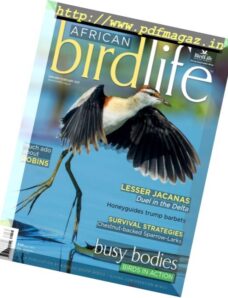 African Birdlife – January-February 2017