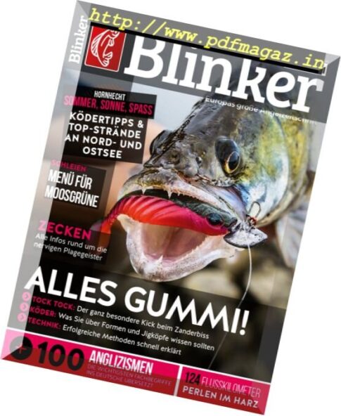 Blinker — Juni 2017