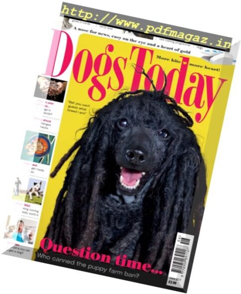 Dogs Today UK — June 2017