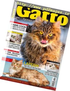 Gatto Magazine – Febbraio 2017