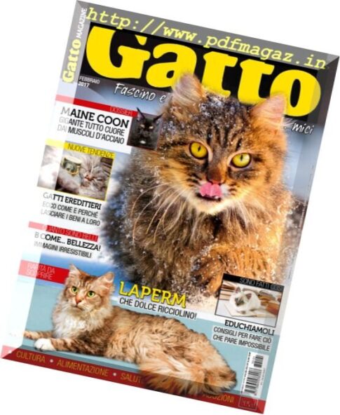 Gatto Magazine — Febbraio 2017