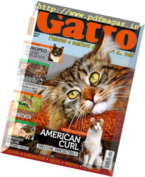 Gatto Magazine — Marzo 2017