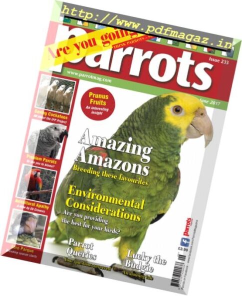 Parrots — June 2017