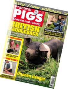 Practical Pigs – Summer 2017