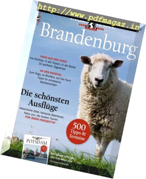 Tagesspiegel Brandenburg – 2017-2018