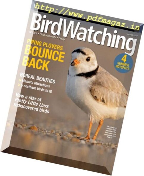 BirdWatching – July-August 2017