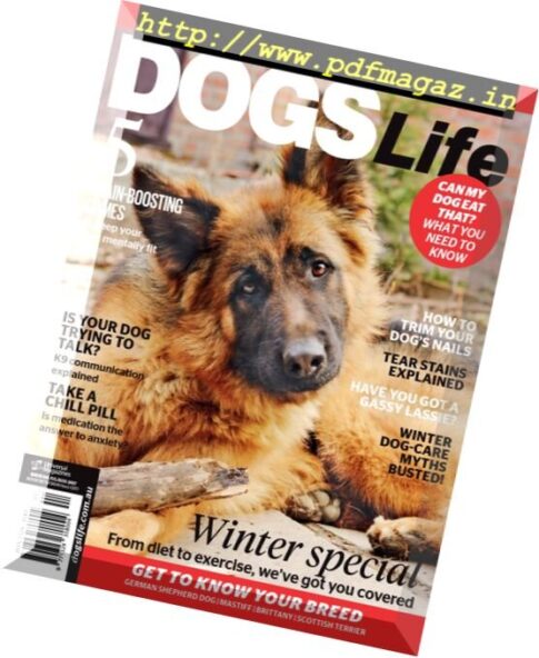 Dogs Life – June 2017