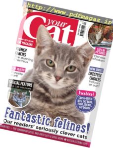 Your Cat — July 2017