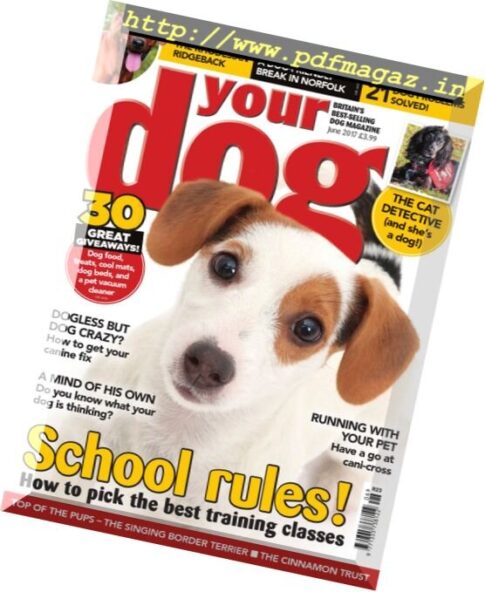 Your Dog – June 2017