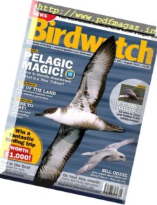 Birdwatch UK – August 2017