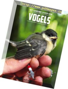 EOS Netherlands Special – Vogels 2017
