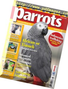 Parrots – September 2017