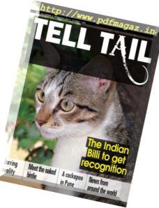 Tell Tail — August-November 2017