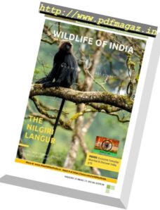 Wildlife of India – August 2017