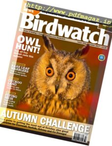 Birdwatch UK – October 2017