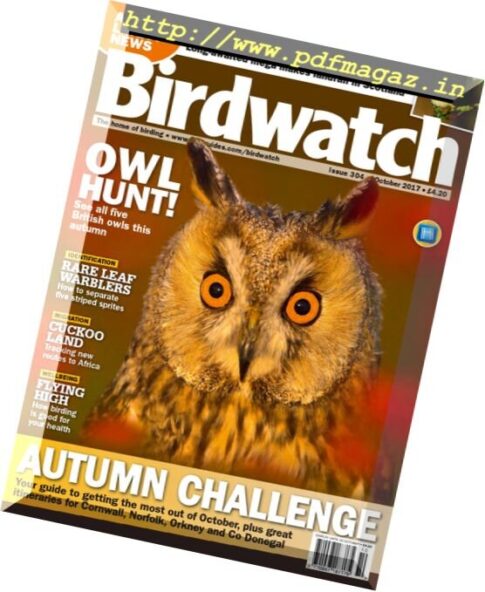 Birdwatch UK – October 2017