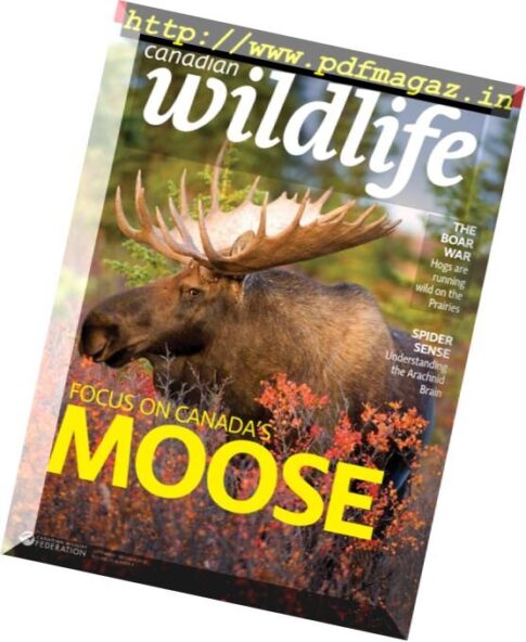 Canadian Wildlife — September-October 2017