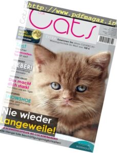 Our Cats – Oktober 2017