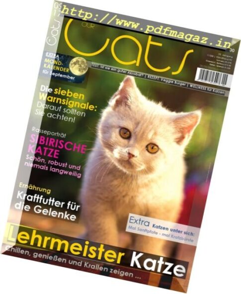 Our Cats – September 2017
