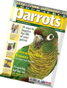 Parrots — October 2017