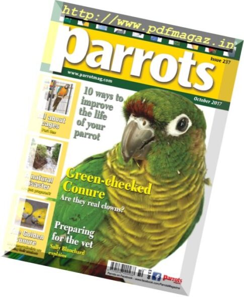 Parrots – October 2017