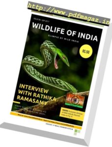 Wildlife of India — September 2017