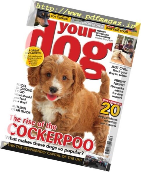 Your Dog – October 2017