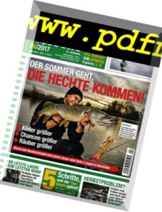 Angel Woche – 3 November 2017