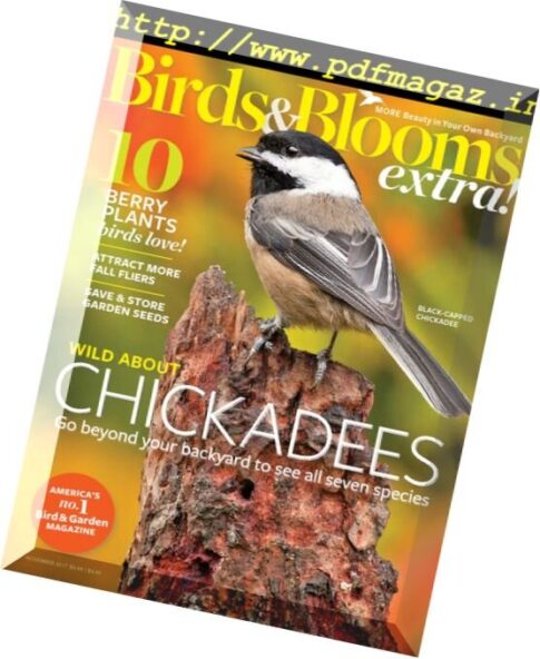 Birds and Blooms Extra – November 2017