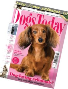 Dogs Today UK – October 2017