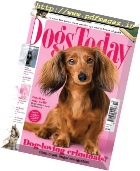 Dogs Today UK – October 2017