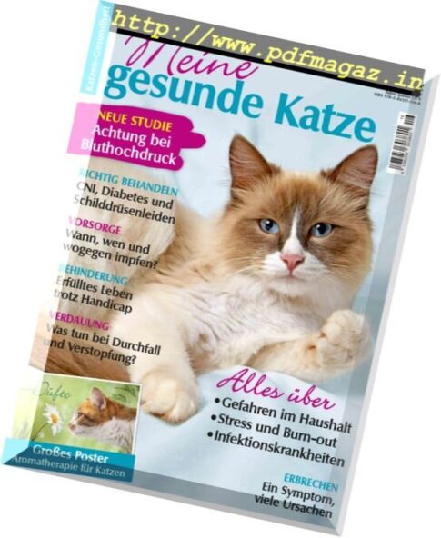 Geliebte Katze Extra – November 2017