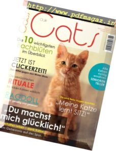 Our Cats – November 2017