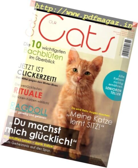 Our Cats – November 2017
