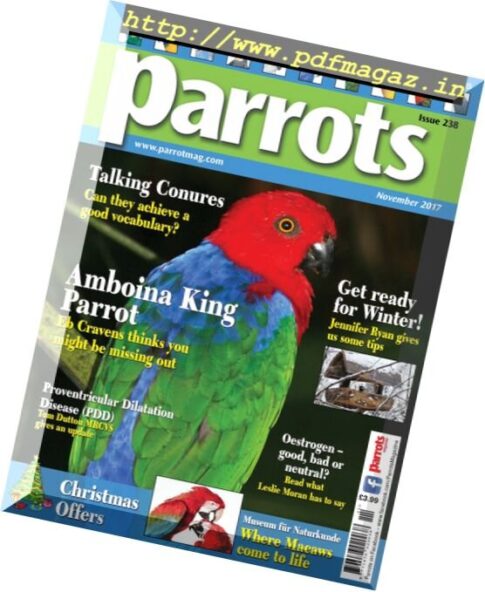 Parrots — November 2017