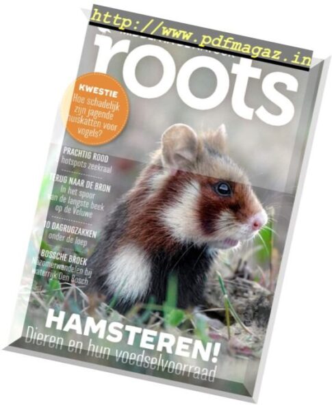 Roots – September 2017