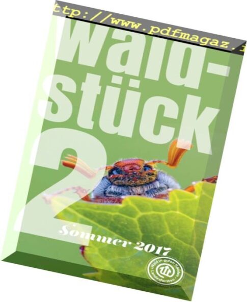 Waldstuck — Sommer 2017