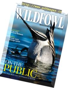 Wildfowl – October 2017