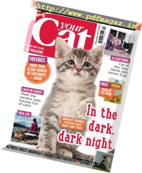 Your Cat – November 2017