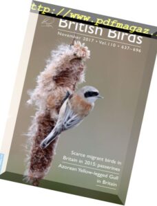 British Birds – November 2017