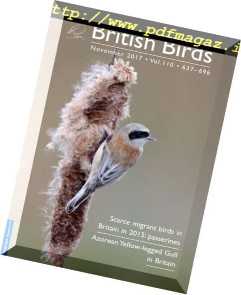 British Birds — November 2017