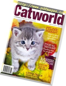 Cat World – November 2017