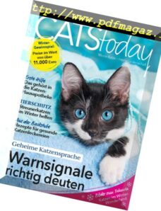 Cats Today — Dezember 2017
