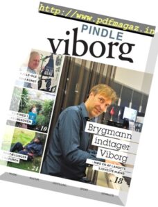 Pindle Viborg — november 2017